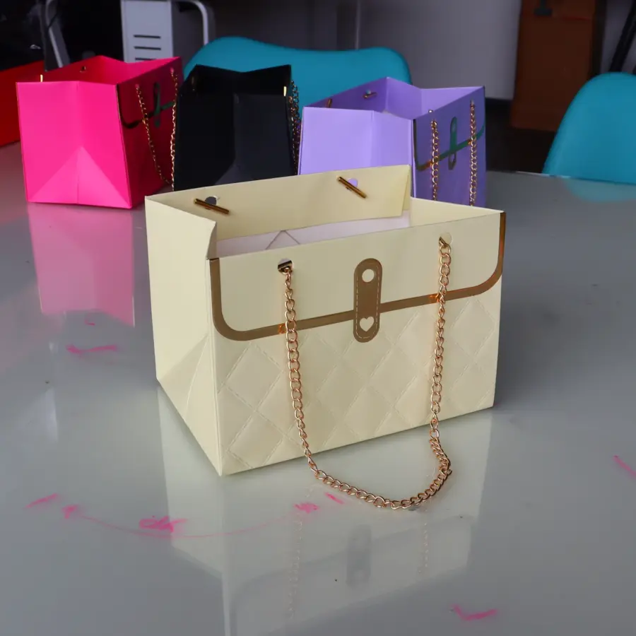 Bolsa Cartera Cadena Rectangular